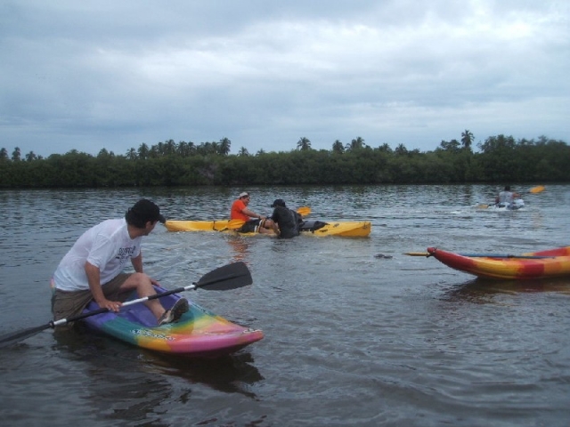 Visita guiada snorkel